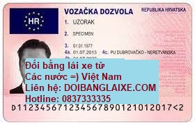 Đổi bằng lái xe Bỉ sang bằng lái xe Việt Nam